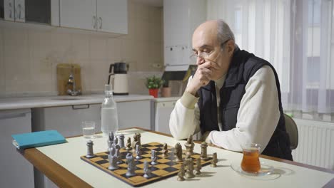The-old-man-is-playing-chess-by-himself.